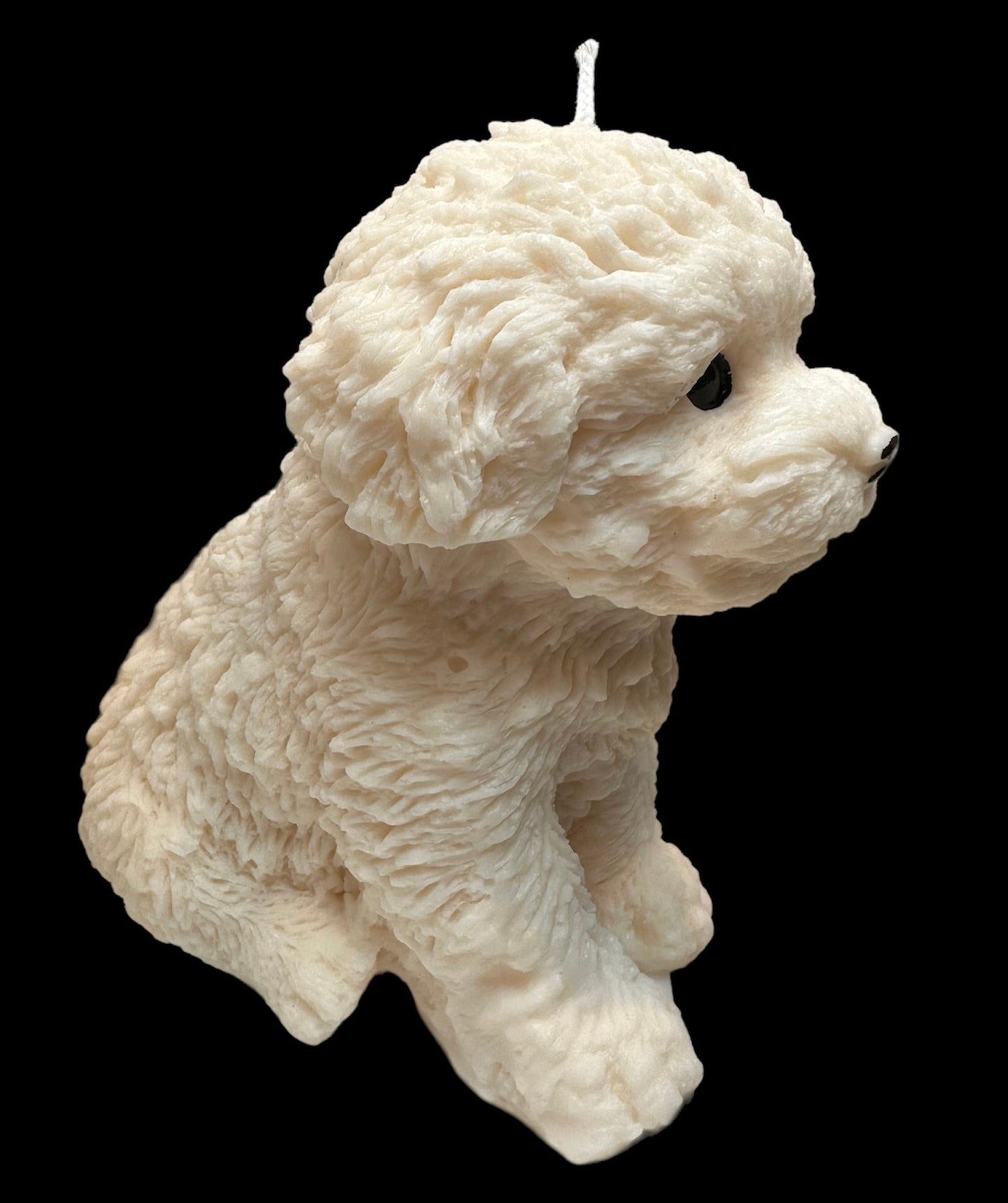 Floral Dog candle