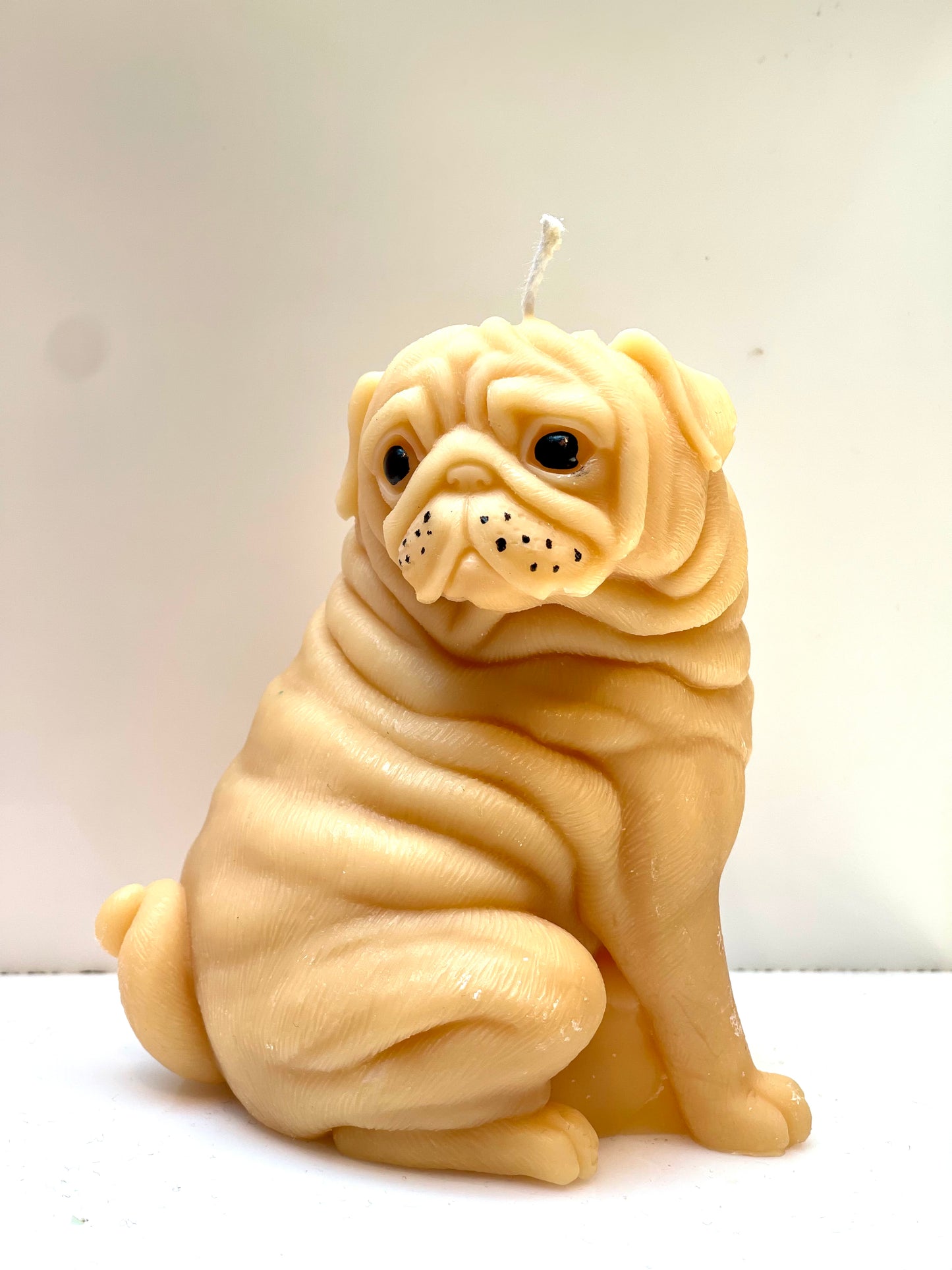 Pug dog candle (floral)